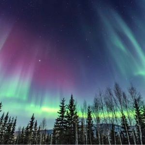 Meet your Posher, Melanie